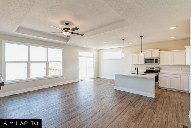4316 NE 8th St, Ankeny, IA 50021 - kitchen featuring stainless steel appliances, a textured ceiling, dark wood finished floors, baseboards, and a ceiling fan