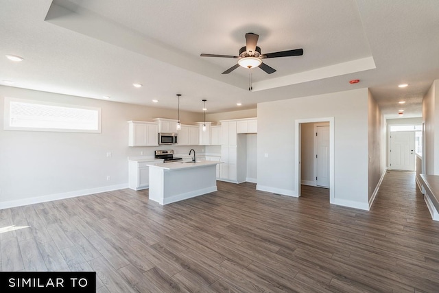 4316 NE 8th St, Ankeny, IA 50021 - kitchen featuring a sink, open floor plan, appliances with stainless steel finishes, ceiling fan, and a raised ceiling