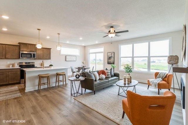4316 NE 8th St, Ankeny, IA 50021 - photo 5