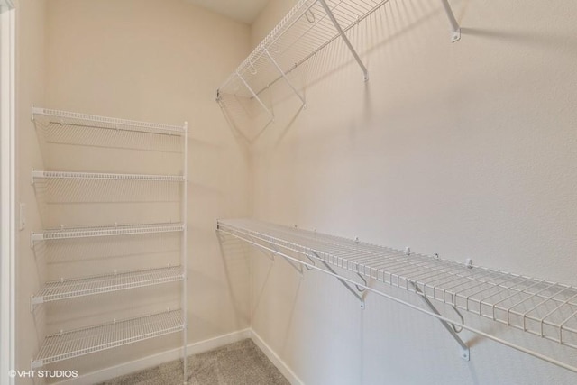 4316 NE 8th St, Ankeny, IA 50021 - photo 19