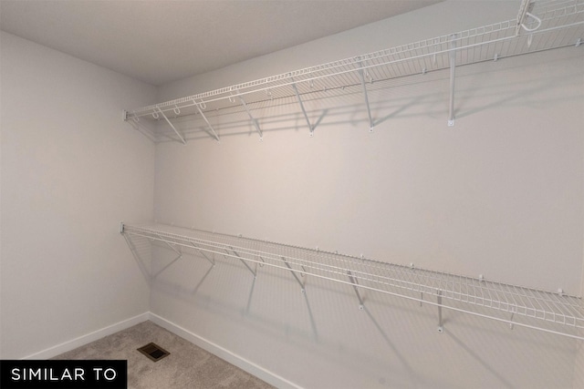 4412 NE 8th St, Ankeny, IA 50021 - spacious closet featuring visible vents and carpet flooring