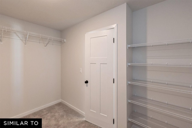 4412 NE 8th St, Ankeny, IA 50021 - walk in closet with carpet flooring