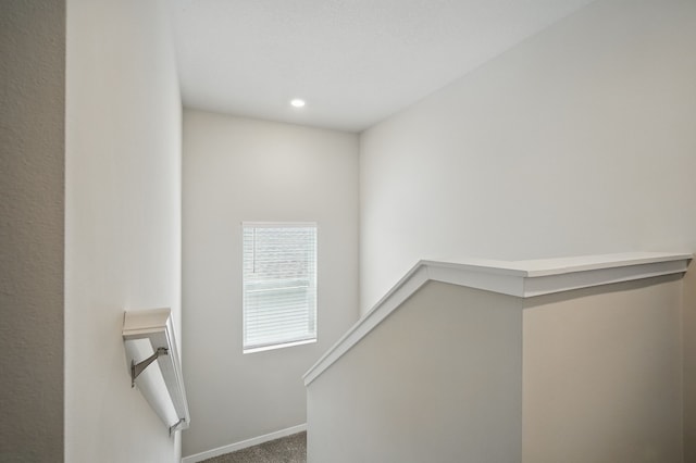 4410 NE 15th St, Ankeny, IA 50021 - photo 12