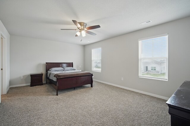 4410 NE 15th St, Ankeny, IA 50021 - photo 17