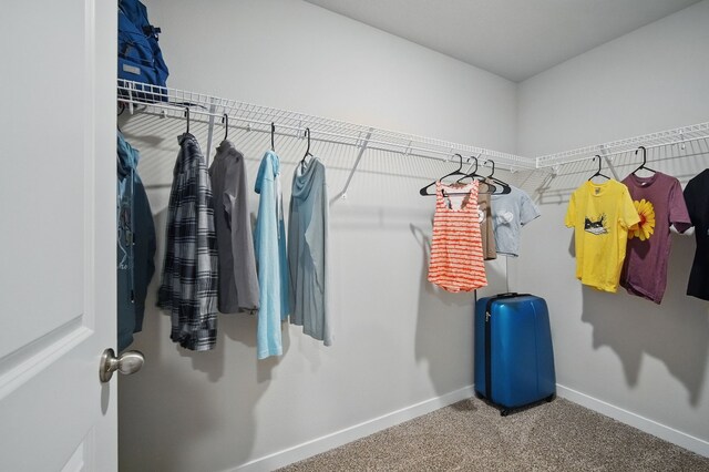 4410 NE 15th St, Ankeny, IA 50021 - photo 21
