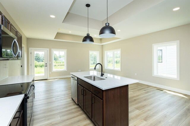 1212 Westview Dr, Huxley, IA 50124 - kitchen featuring a sink, stainless steel appliances, light countertops, light wood-type flooring, and a tray ceiling