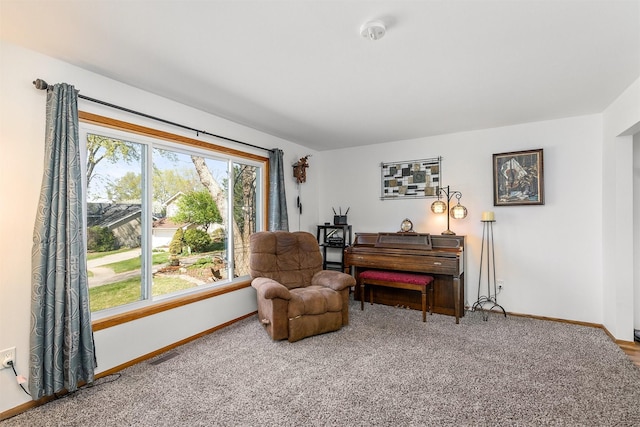 4830 70th Pl, Urbandale, IA 50322 - living area with baseboards and carpet flooring