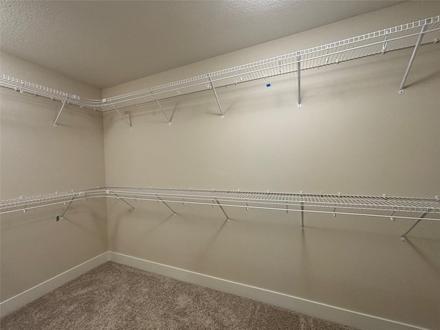 1258 S 92nd St, West Des Moines, IA 50266 - walk in closet featuring carpet floors