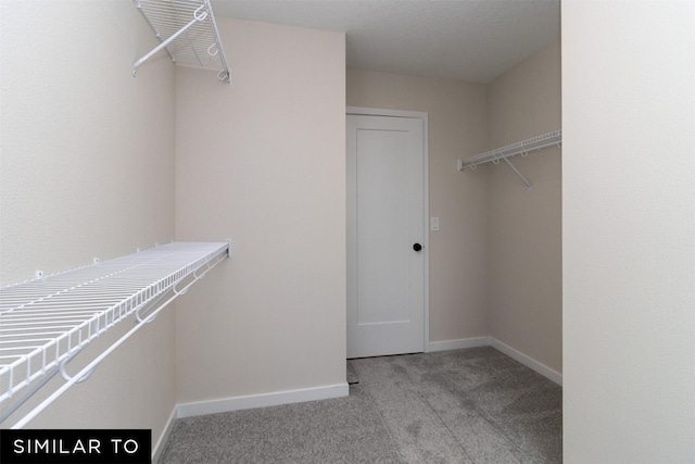 4312 NE 8th St, Ankeny, IA 50021 - walk in closet featuring light carpet
