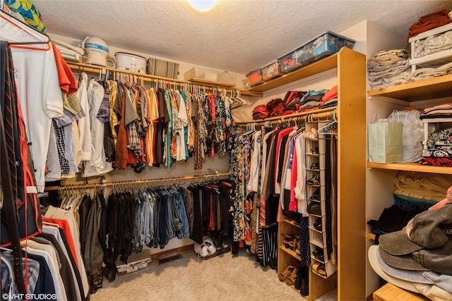 9601 NE 28th Ct, Ankeny, IA 50021 - photo 14