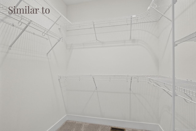 2934 Lake Hill Dr, Des Moines, IA 50320 - walk in closet with carpet