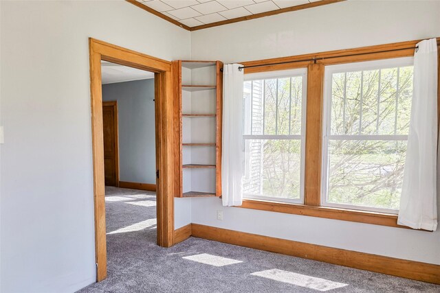 empty room with a wealth of natural light, carpet flooring, baseboards, and ornamental molding
