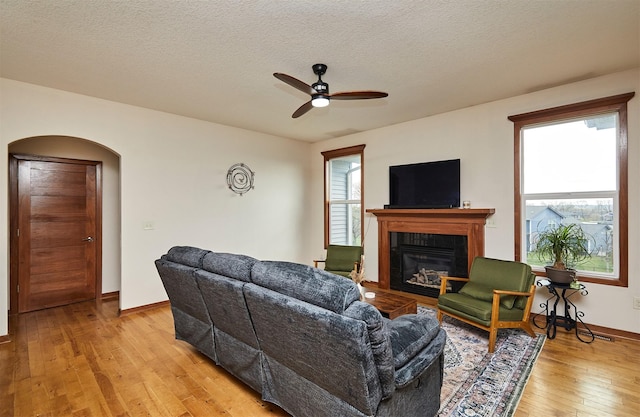 living room featuring a wealth of natural light, a ceiling fan, a glass covered fireplace, and light wood-style floors