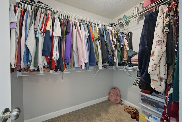 spacious closet with carpet