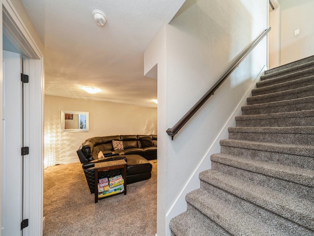1110 NE 15th Ln, Ankeny, IA 50021 - stairway with carpet flooring
