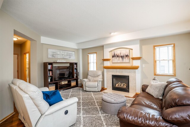 748 76th St, West Des Moines, IA 50266 - living room featuring wood finished floors, a tile fireplace, and plenty of natural light