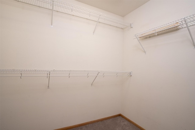 748 76th St, West Des Moines, IA 50266 - spacious closet with carpet floors