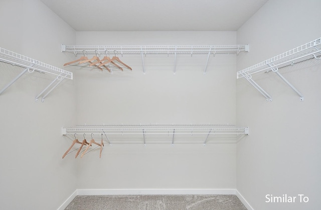 walk in closet with carpet flooring