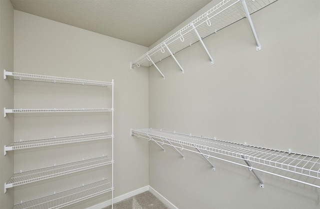 635 NW Compass Ave, Waukee, IA 50263 - walk in closet featuring carpet