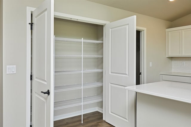 635 NW Compass Ave, Waukee, IA 50263 - view of pantry