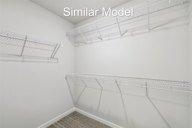 4215 NW 17th Ct, Ankeny, IA 50023 - walk in closet featuring dark colored carpet
