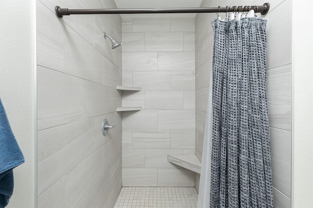 1040 W Trace Pl, Polk City, IA 50226 - bathroom with a tile shower