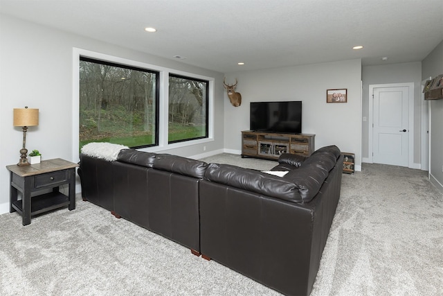 1040 W Trace Pl, Polk City, IA 50226 - carpeted living area with recessed lighting and baseboards