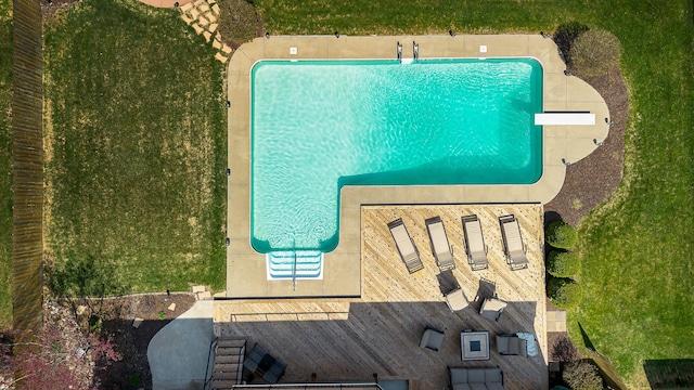 bird's eye view