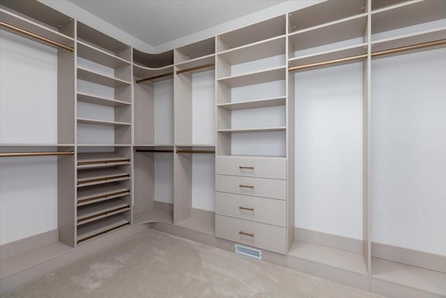 18284 Baxter Pl, Clive, IA 50325 - walk in closet with carpet flooring