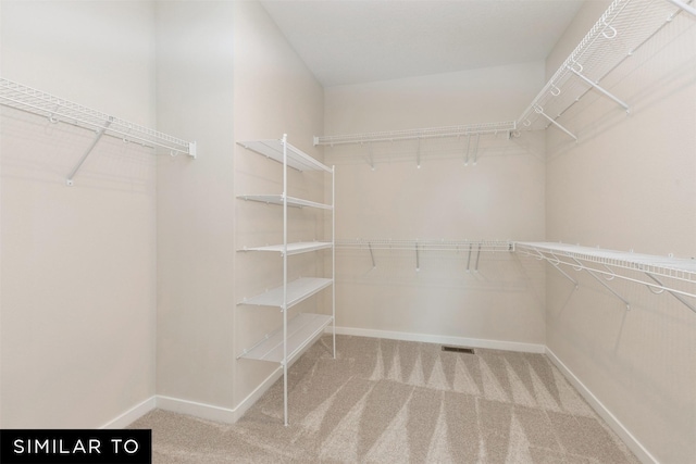 walk in closet with carpet flooring
