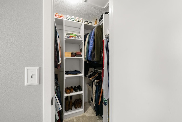 spacious closet featuring carpet