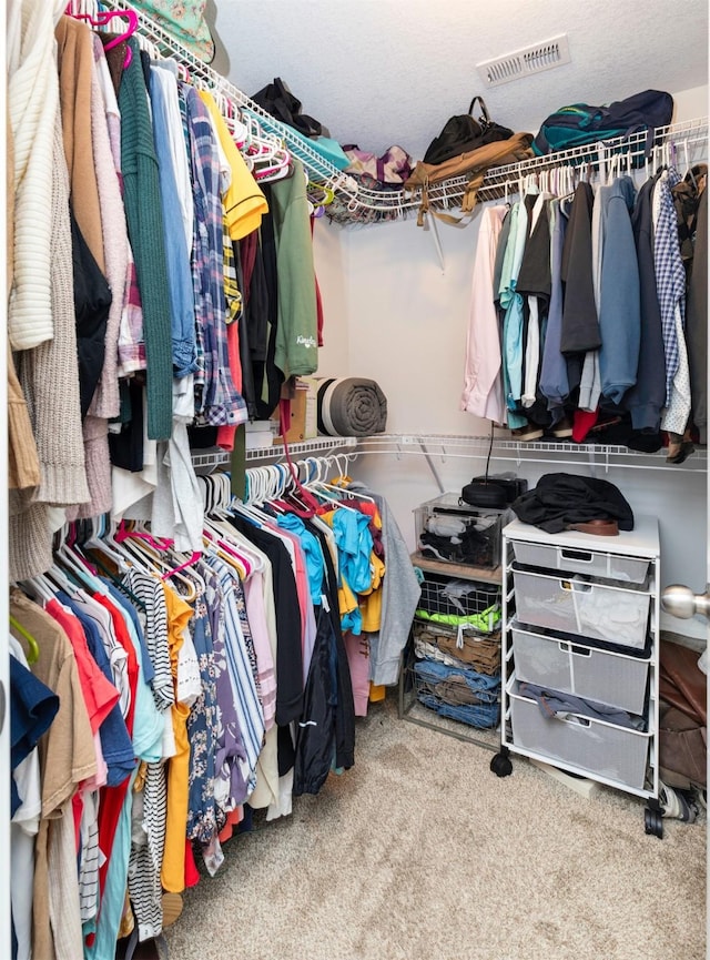 2884 Park Pl, Norwalk, IA 50211 - walk in closet featuring carpet floors
