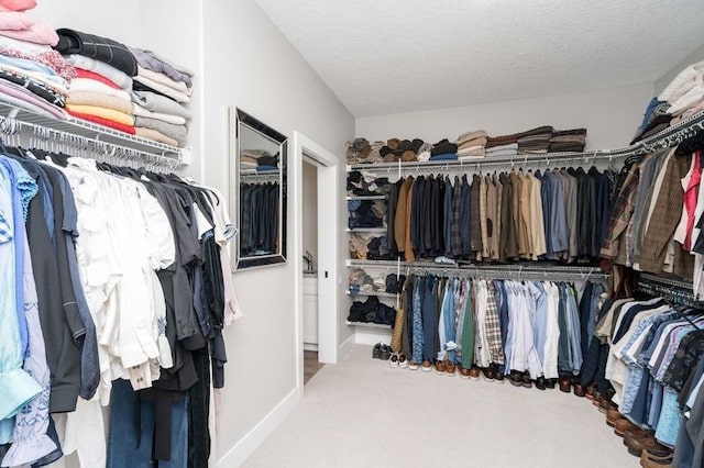 spacious closet featuring carpet flooring