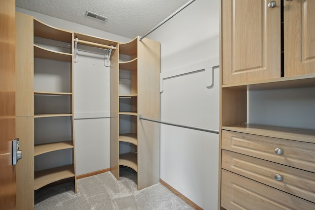 1410 Alderwood Dr, Altoona, IA 50009 - spacious closet featuring visible vents and light carpet