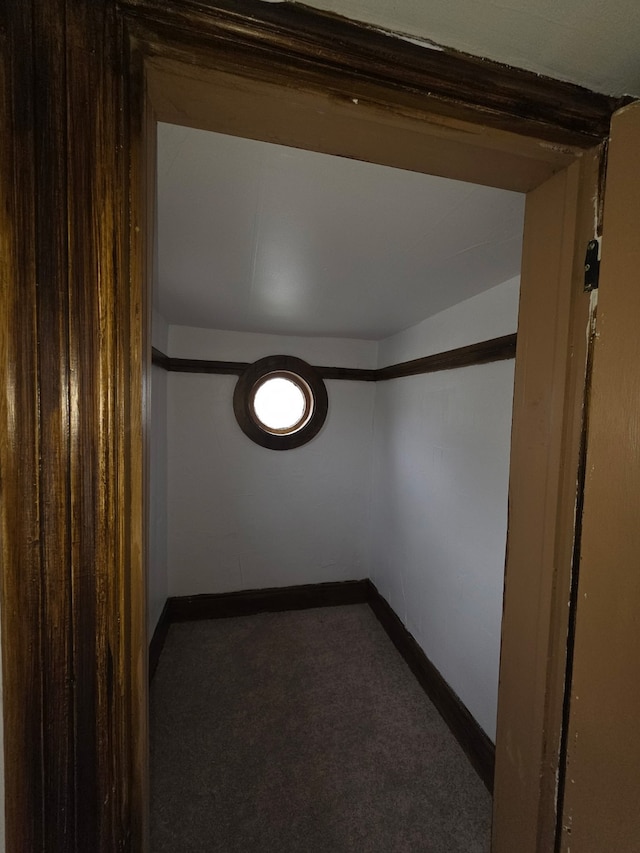 spare room with baseboards and carpet floors
