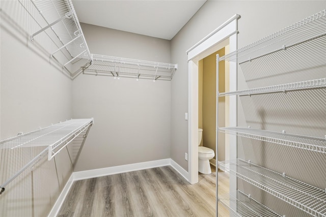 2323 N 8th Ave E, Newton, IA 50208 - spacious closet with wood finished floors