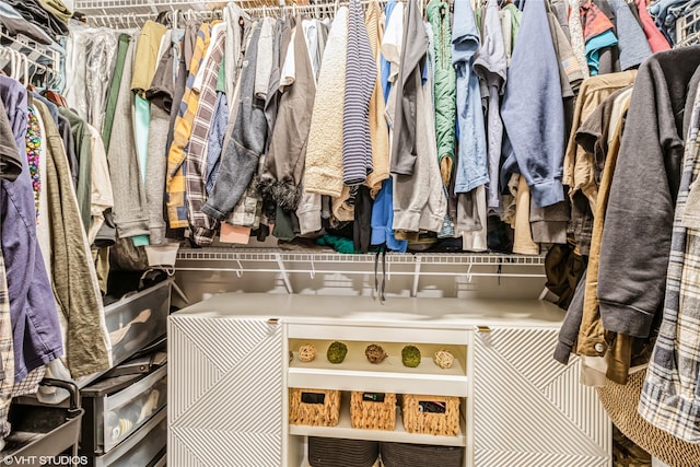 view of walk in closet