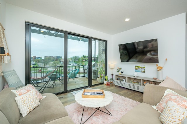living room featuring recessed lighting, a healthy amount of sunlight, and wood finished floors