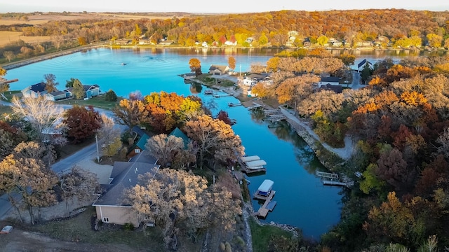 drone / aerial view featuring a water view and a wooded view