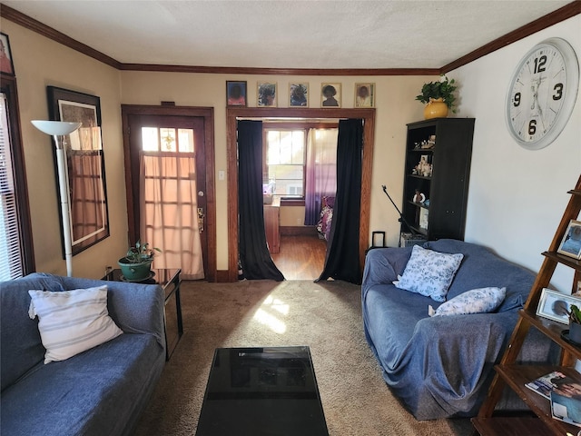 1134 39th St, Des Moines, IA 50311 - living room featuring crown molding and carpet
