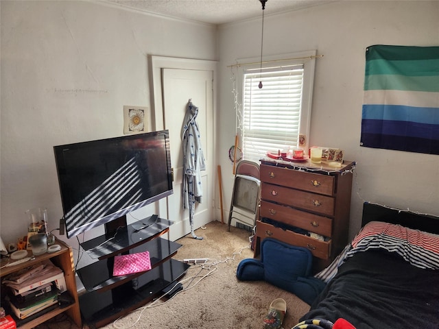 1134 39th St, Des Moines, IA 50311 - carpeted bedroom with a textured ceiling