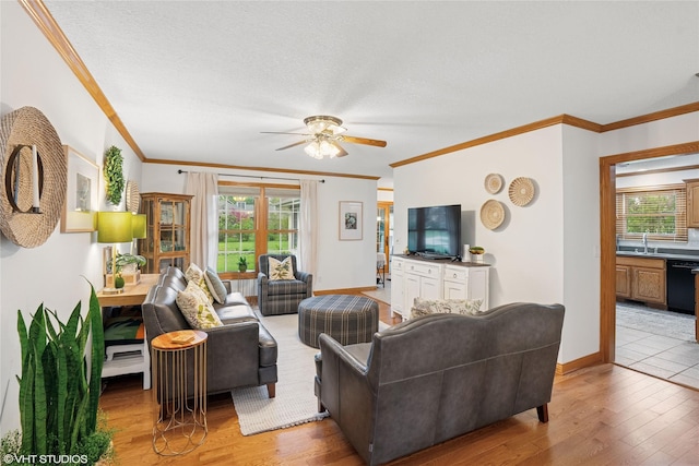 451 NW 70th Pl, Ankeny, IA 50023 - photo 2