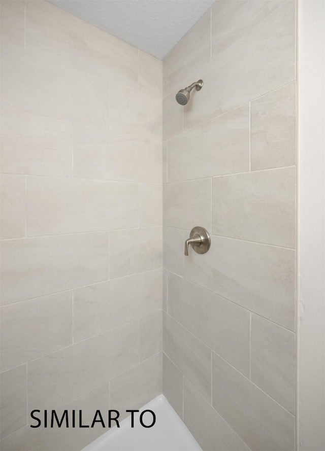 9394 Modena Ln, West Des Moines, IA 50266 - full bathroom with a tile shower