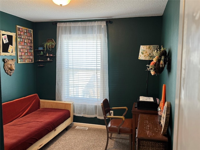 223 SE Booth Ave, Waukee, IA 50263 - office area featuring a textured ceiling, visible vents, carpet, and a healthy amount of sunlight
