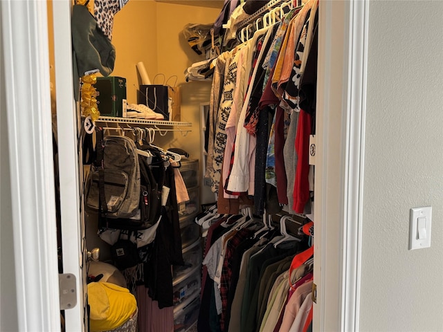 223 SE Booth Ave, Waukee, IA 50263 - view of spacious closet
