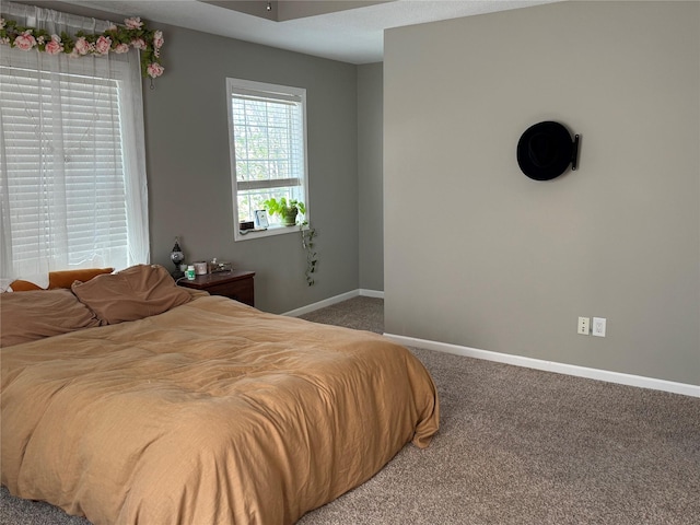 223 SE Booth Ave, Waukee, IA 50263 - carpeted bedroom with baseboards
