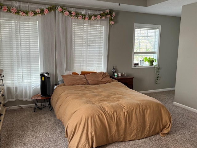 223 SE Booth Ave, Waukee, IA 50263 - bedroom with carpet floors and baseboards