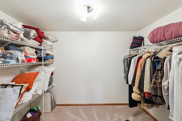spacious closet with carpet floors