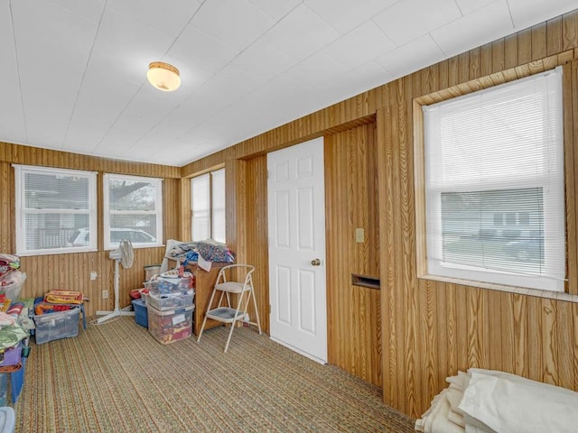 1313 Rose Ave, Des Moines, IA 50315 - rec room with carpet floors and wood walls