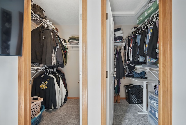 spacious closet featuring carpet